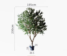 画像をギャラリービューアに読み込む, VICKY YAO- VICKY YAO- Realistic Faux Olive Tree Artificial Olive Tree / Outdoor Indoor Waterproof and UV-resistant 2.3cm H