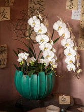 Laden Sie das Bild in den Galerie-Viewer, VICKY YAO Design Aesthetic - Exclusive Design Luxury Hotel Style Handmade Natural Touch Artificial Orchid Flower Arrangement