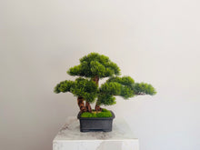 画像をギャラリービューアに読み込む, VICKY YAO Design - Premium Small Artificial Bonsai for Luxury Interiors 4 feet Pot L39xW19xH29cm
