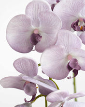 画像をギャラリービューアに読み込む, VICKY YAO- Elegant Purple Lilac Artificial Orchid in Modern White Vase Real Touch Faux Phalaenopsis Arrangement Home Decor Centerpiece