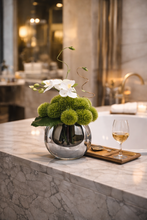 Laden Sie das Bild in den Galerie-Viewer, VICKY YAO Design Aesthetic - Artificial Green Moss Ball Floral Arrangement with Orchid, Modern Faux Flower Decor in Glass Vase L18 x H26cm