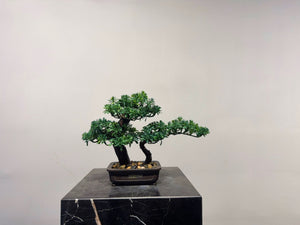 VICKY YAO - Handmade Exclusive Design Artificial Bonsai Tree in Realistic 4 feet Pot 39x19x29cm