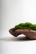 Load image into Gallery viewer, VICKY YAO Design Aesthetic - Real Preserved Moss Bowl Centerpiece, Unique form , table centerpiece The FOREST Bowl.  Moss Centerpiece. D30cm