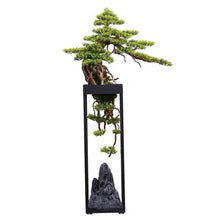 Laden Sie das Bild in den Galerie-Viewer, VICKY YAO Design - Luxury Hotel Bonsai Installations Realistic Artificial Bonsai Art L92 x W30 x H159 cm