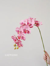 Load image into Gallery viewer, VICKY YAO - Lifelike Luxury Natural Touch Pink Phalaenopsis Orchid Arrangement with Preserved Moss for Home &amp; Office Decor