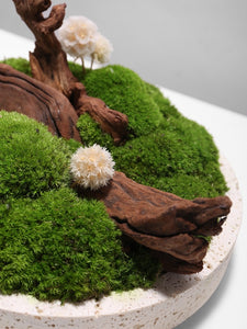 VICKY YAO Preserved Moss - Love Nature Real Preserved Moss In Marble Base