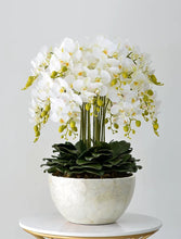 画像をギャラリービューアに読み込む, VICKY YAO Design -Bespoke Luxury Floral Design Elegant Shell-Finish Planter with 18 Stem Real Touch Orchid Arrangement W55xH78cm