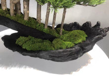 画像をギャラリービューアに読み込む, VICKY YAO Fine Bonsai - Handcrafted Bonsai Tree Sculpture Artificial Bonsai with Natural Wood Base Preserved Moss Zen Decor L65xW30xH66cm