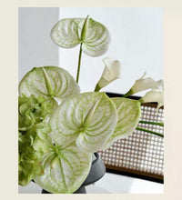 將圖片載入圖庫檢視器 VICKY YAO Faux Floral – Natural Touch Modern Artificial Arrangement with Anthurium, Calla Lily &amp; Hydrangea | Elegant Green Decor for Home &amp; Office
