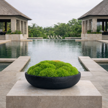 將圖片載入圖庫檢視器 VICKY YAO Design Aesthetic - Real Preserved Moss Black Bowl Centerpiece,Wabisabi Style The FOREST Black Bowl Moss Centerpiece