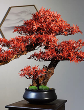 Load image into Gallery viewer, VICKY YAO Design Aesthetic - Exclusive Design Handmade Artificial Red Maple Leaf Faux Bonsai Tree in Pot