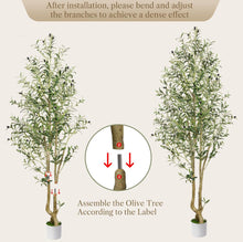 Load image into Gallery viewer, VICKY YAO - Artificial Olive Tree, 182 cm Tall Faux Olive Plant in Cement Pot Potted Olive Silk Tree Fake Greenery Plant for Indoor Home Office