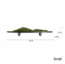 Load image into Gallery viewer, VICKY YAO  - Modern Zen Moss Centerpiece | Elevated Tabletop Landscape Art Japanese Inspired Table Decor Home &amp; Office Decor Wabisabi Design
