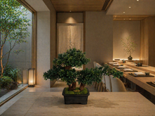 Laden Sie das Bild in den Galerie-Viewer, VICKY YAO - Art Grade Faux Bonsai Tree Luxury Handmade Botanical Sculpture for Elegant Interiors
 L39 x W19 x H29cm