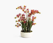 將圖片載入圖庫檢視器 VICKY YAO - Artificial Cymbidium Orchid Arrangement Realistic Pink &amp; Orange Faux Flowers in White Pot Modern Home Decor Centerpiece