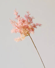 Load image into Gallery viewer, VICKY YAO - Handmade natural coarse texture  pottery Vase textured white Ceramic Wabi Sabi Vase – Rough Pottery 9 stems Flower Arrangement 60x50x70
