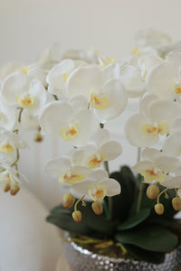 VICKY YAO Design aesthetic- Best Popular Handmade Exclusive Design Natural Touch Artificial Orchids In Ceramic Golden Pot