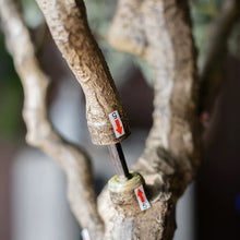 画像をギャラリービューアに読み込む, VICKY YAO- VICKY YAO- Realistic Faux Olive Tree Artificial Olive Tree / Outdoor Indoor Waterproof and UV-resistant 2.3cm H