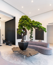 將圖片載入圖庫檢視器 VICKY YAO Art AESTHETIC- High-end Commercial Customized Projects Large Bonsai Tree