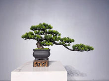 Load image into Gallery viewer, VICKY YAO Fine Bonsai - Best Selling Exclusive Design Handmade Realistic Faux Bonsai Art 43x11x25cmH
