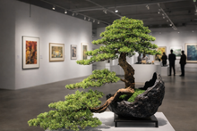 Laden Sie das Bild in den Galerie-Viewer, VICKY YAO Fine Bonsai - Hand Made Exclusive Limited Deluxe Faux Bonsai Art L100 x W50 x H75cm