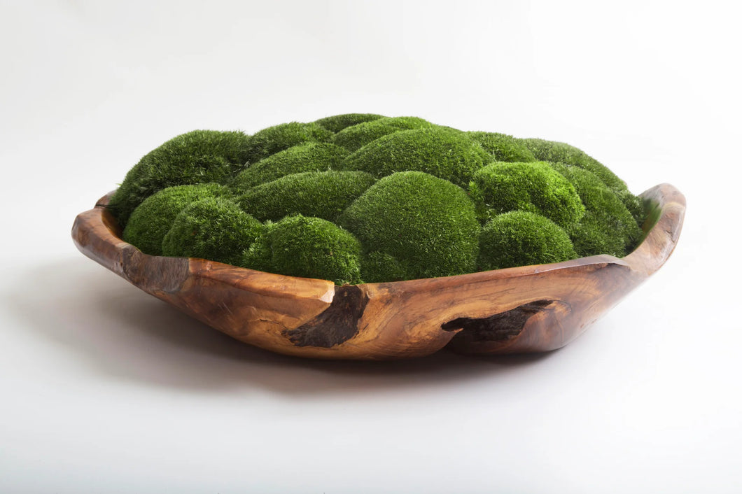 VICKY YAO Design Aesthetic - Real Preserved Moss Bowl Centerpiece, Unique form , table centerpiece The FOREST Bowl.  Moss Centerpiece. D30cm