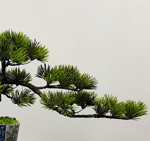 VICKY YAO Design Aesthetic - Exclusive Design Enamel Craft Basic Faux Bonsai Art 35x14x20