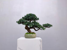 Load image into Gallery viewer, VICKY YAO - Handmade New Arrival Artificial Bonsai Art Gift for Him in Lotus Medium Pot 50x19x33cmH