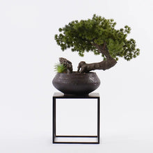 Load image into Gallery viewer, VICKY YAO - Artificial Bonsai Tree Desk Decor, Japanese Style Bonsai, Office Table Decoration, Zen Desktop Ornament, Luxury Workspace Decor