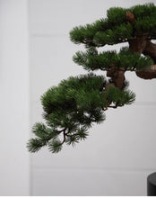 Laden Sie das Bild in den Galerie-Viewer, VICKY YAO - Luxury Realistic Artificial Bonsai Pine Tree with Moss &amp; Rock | Faux Plant in Planter | Japanese Zen Home Decoration 48x31x42cmH