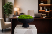 將圖片載入圖庫檢視器 VICKY YAO -Outdoor Indoor Real Preserved Moss Bowl Centerpiece,Preserved Moss Bowl Black Rustic Wooden Coffee Table Centerpiece D12-inch