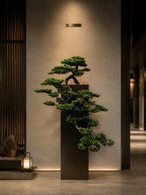 Load image into Gallery viewer, VICKY YAO - Realistic Japanese Black Pine Bonsai – Handcrafted Faux Tree in Ceramic Pot
