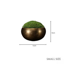 Load image into Gallery viewer, VICKY YAO - New Arrival Exclusive Design Real Preserved Moss Brass Bowl Art