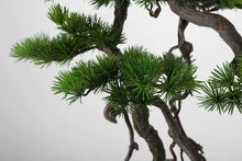將圖片載入圖庫檢視器 VICKY YAO Fine Bonsai - Exclusively Designed Realistic Bonsai Stone – Handcrafted Artistic Creation 56 x 60cmH