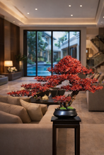 Load image into Gallery viewer, VICKY YAO Design Aesthetic -  New Arrival Exclusive Design Handmade Japanese Style Red Maple Bonsai Art 55x22x38cm H