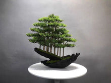Load image into Gallery viewer, VICKY YAO - Fine Art Forest Bonsai Sculpture ｜Artificial Bonsai Driftwood Style Japanese Zen Tree Arrangement – Luxury Home Decor