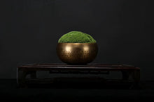 Load image into Gallery viewer, VICKY YAO - New Arrival Exclusive Design Real Preserved Moss Brass Bowl Art