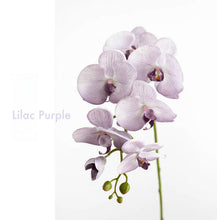 画像をギャラリービューアに読み込む, VICKY YAO- Elegant Purple Lilac Artificial Orchid in Modern White Vase Real Touch Faux Phalaenopsis Arrangement Home Decor Centerpiece