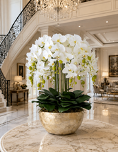 Load image into Gallery viewer, VICKY YAO Design -Bespoke Luxury Floral Design Elegant Shell-Finish Planter with 18 Stem Real Touch Orchid Arrangement W55xH78cm