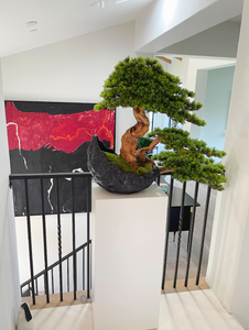 VICKY YAO Art Aesthetic - Hand Made Exclusive Limited Deluxe Faux Bonsai Art 50x 100 x 75cm H