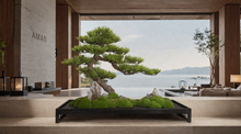 Load image into Gallery viewer, VICK YAO - Luxury Hotel Bonsai Art | Aman-Inspired Zen Interior Sculpture
L71 x D25-30cm x H46cm