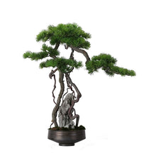 將圖片載入圖庫檢視器 VICKY YAO Fine Bonsai - Exclusively Designed Realistic Bonsai Stone – Handcrafted Artistic Creation 56 x 60cmH