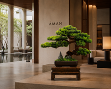 Load image into Gallery viewer, VICKY YAO - Artificial Bonsai Tree Japanese Pine Bonsai Decor Zen Tabletop Sculpture Hotel Lobby Decor Luxury Office Decoration L61xH45cm