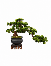 Load image into Gallery viewer, VICKY YAO Fine Bonsai - Best Selling Exclusive Design Handmade Realistic Faux Bonsai Art L46 x W18 x H27cm