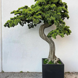 VICKY YAO Art AESTHETIC- High-end Commercial Customized Projects Large Bonsai Tree