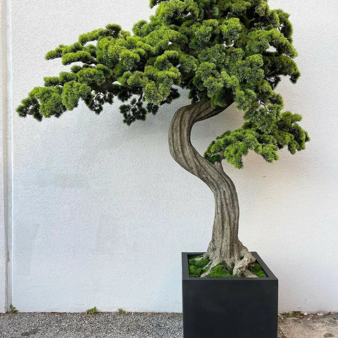 VICKY YAO ART AESTHETIC- Large Artificial Bonsai Tree Project