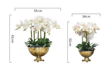 画像をギャラリービューアに読み込む, VICKY YAO Design - Faux White Orchid in Gold Vase Modern Home Decor Arrangement Tall Size H65cm