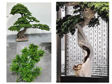 Load image into Gallery viewer, VICKY YAO Fine Bonsai - High-end Commercial Customized Projects Large Bonsai Tree