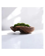 Load image into Gallery viewer, VICKY YAO Design Aesthetic - Real Preserved Moss Bowl Centerpiece, Unique form , table centerpiece The FOREST Bowl.  Moss Centerpiece. D30cm