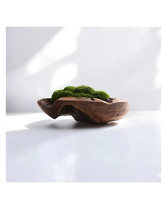 VICKY YAO Design Aesthetic - Real Preserved Moss Bowl Centerpiece, Unique form , table centerpiece The FOREST Bowl.  Moss Centerpiece. D30cm